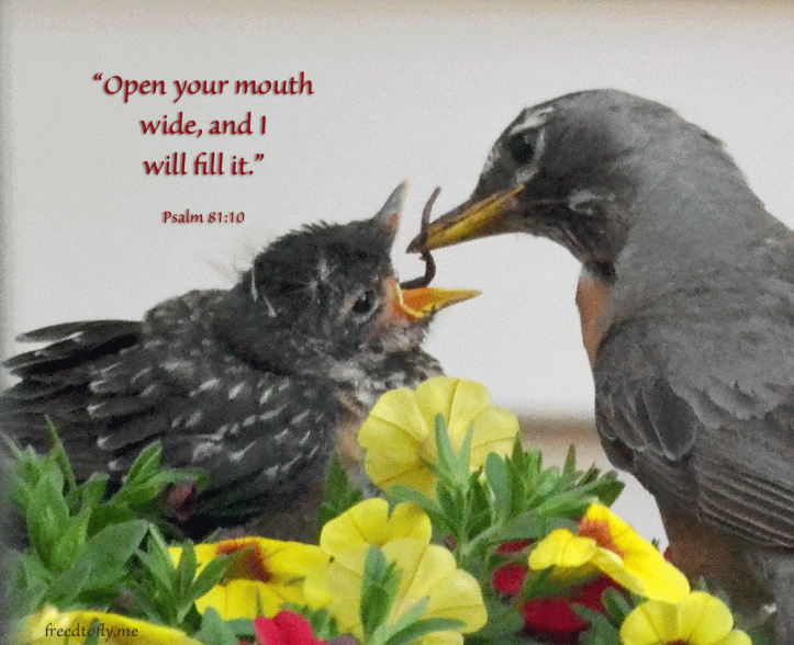 openyourmouth