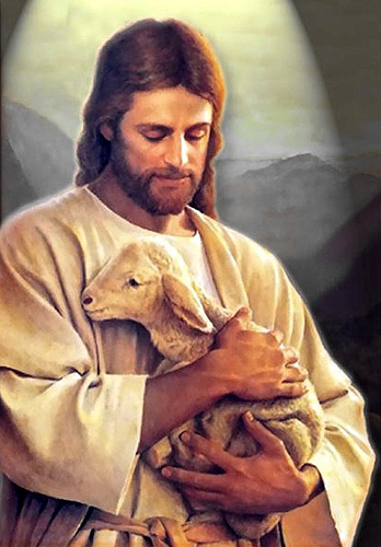 good shepherd
