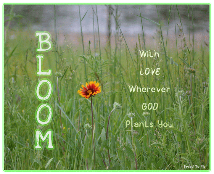 bloom-with-love